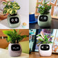 Ivy Smart Plant Robot
