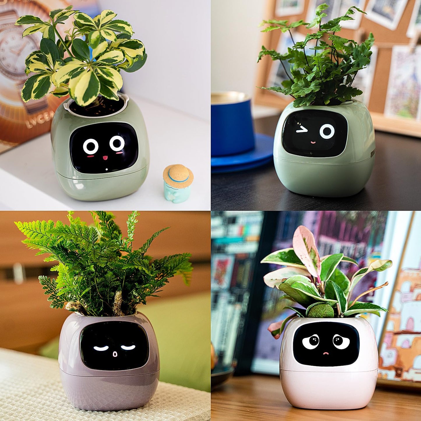 Ivy Smart Plant Robot