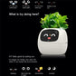 Ivy Smart Plant Robot