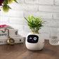 Ivy Smart Plant Robot